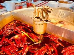 -小龙翻大江文化火锅(宽窄店)