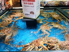 帝王蟹-盒马鲜生(宝地店)