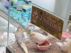 -银座和谐广场