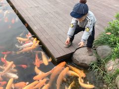 -成飞公园