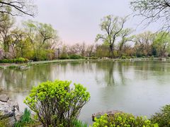 -晋祠公园