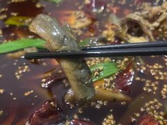 -邱氏胖泥鳅(大堰店)