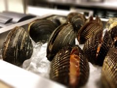 活北极贝-舞鹤日本料理铁板烧(华侨城店)