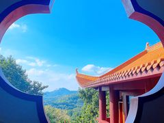 -深圳仙湖植物园
