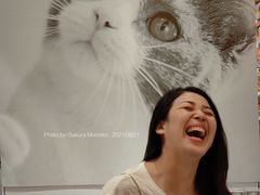 -KKV(深圳宏发大仟里店)