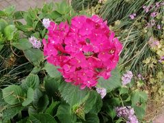 -南通博物苑-崇川人民公园