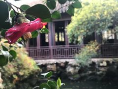 -无锡惠山寺