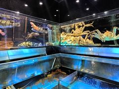 -金翠皇宫粤菜·点心·海鲜(科技园店)