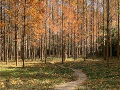 -河南省黄河迎宾馆