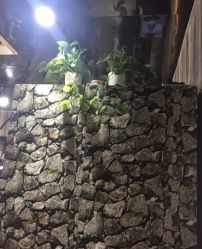 -Park Salon脏辫羽毛接发