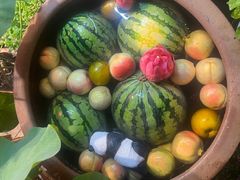 -赵美丽·重庆社区火锅·直营店(火车东站·中豪国际店)