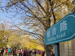 -辽宁大学(崇山校区)