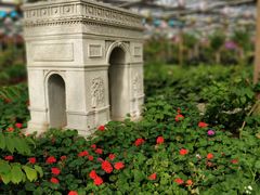 -南宫五洲植物乐园