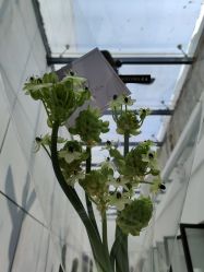 -无界瑜伽普拉提