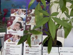 -雅悦齿科(顾村公园店)