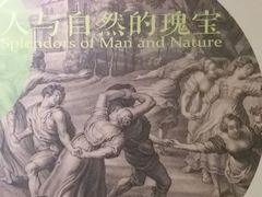 -北京大学赛克勒考古与艺术博物馆