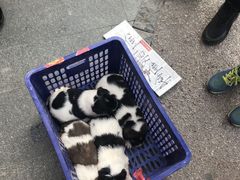 -福州人铭小吃