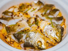 红胡椒煎东海大黄鱼-新光酒家·河豚·海鲜·蟹料理(浦东店)
