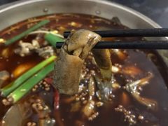 胖泥鳅-邱氏胖泥鳅(大堰店)