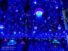 -福州罗源湾海洋世界旅游区