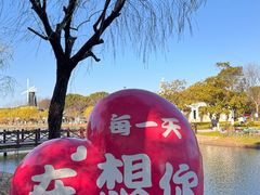 -上海鲜花港