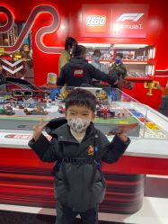 -乐高品牌旗舰店(人民广场店)