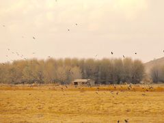 -天津东丽湖风景区