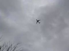 -春花秋色城市公园