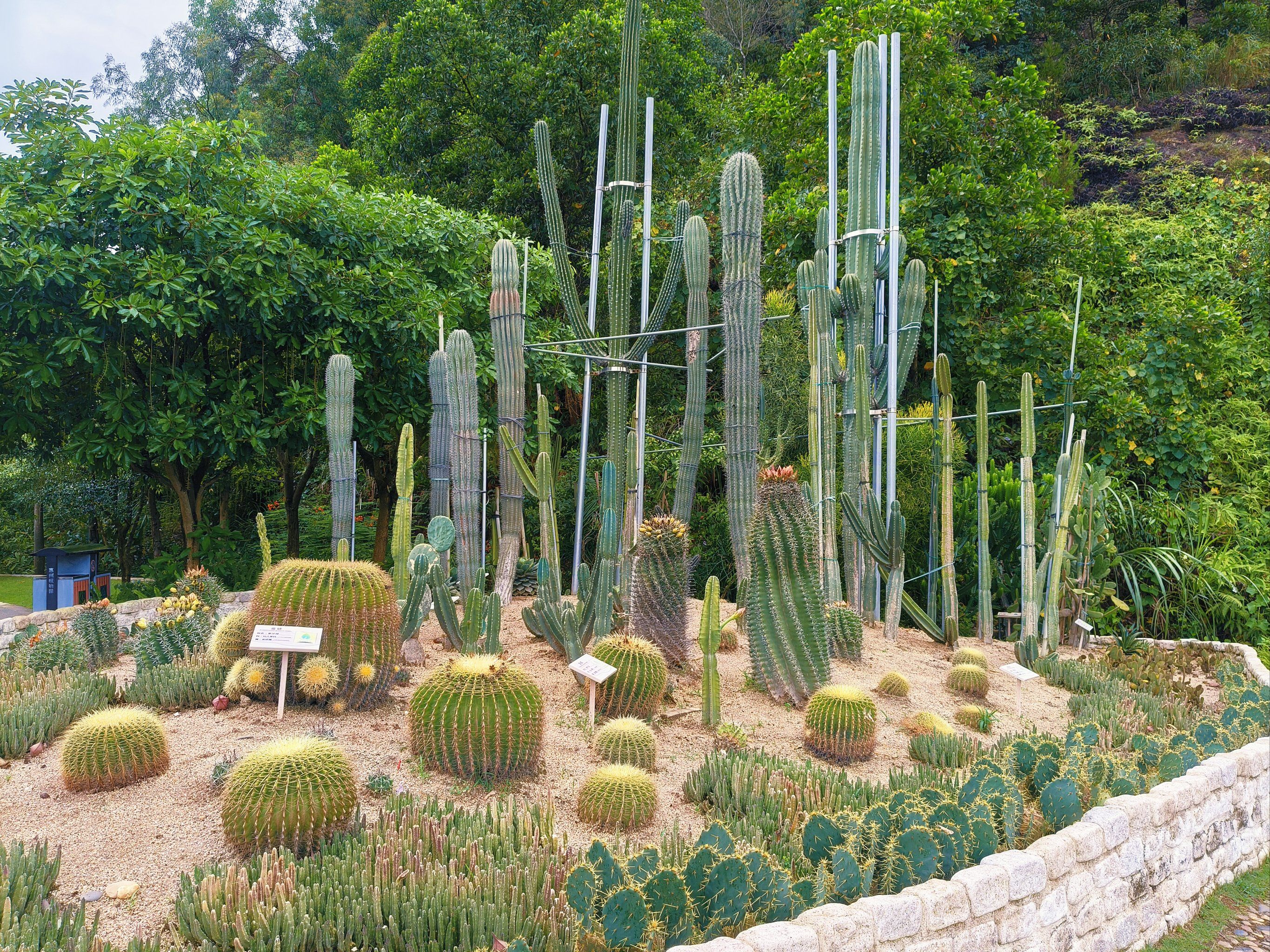 惠州植物园一日游攻略