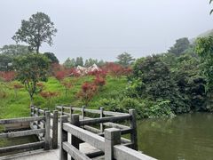 -广州市帽峰山景区