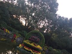 -汇龙潭