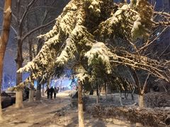 -长春市南湖公园