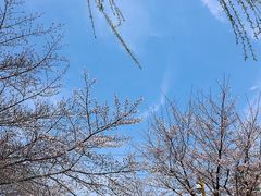 -西北湖绿化广场