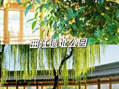 -华清宫景区