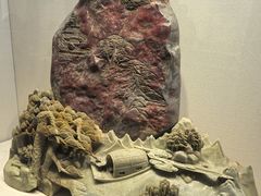 -安徽省地质博物馆