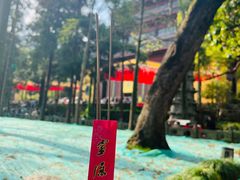 -灵隐飞来峰景区
