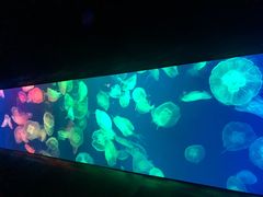 -成都浩海立方海洋公园