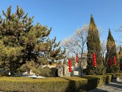 -大槐树寻根祭祖园