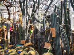 -国家植物园南园