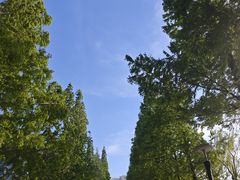 -莱西月湖公园