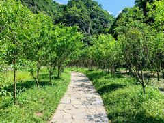 -花溪风景区