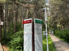 -帽儿山国家森林公园