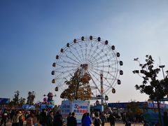 -如皋市龙游湖欢乐世界