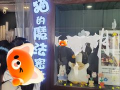 -猫的魔法密林(衣裳街店)