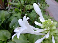 -迎泽公园