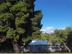 -墨尔本皇家植物园