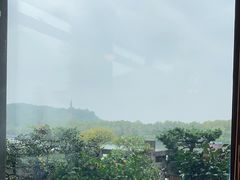 -湖畔居茶楼(湖滨店)