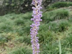 -龙潭生态旅游度假区