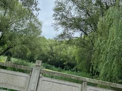 -滨湖塘西河公园