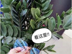 -宝岛眼镜(北京亚运村旗舰店)